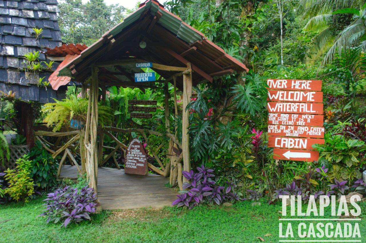 Cabinas Y Restaurante Tilapias La Cascada Hotel Ojochal Esterno foto