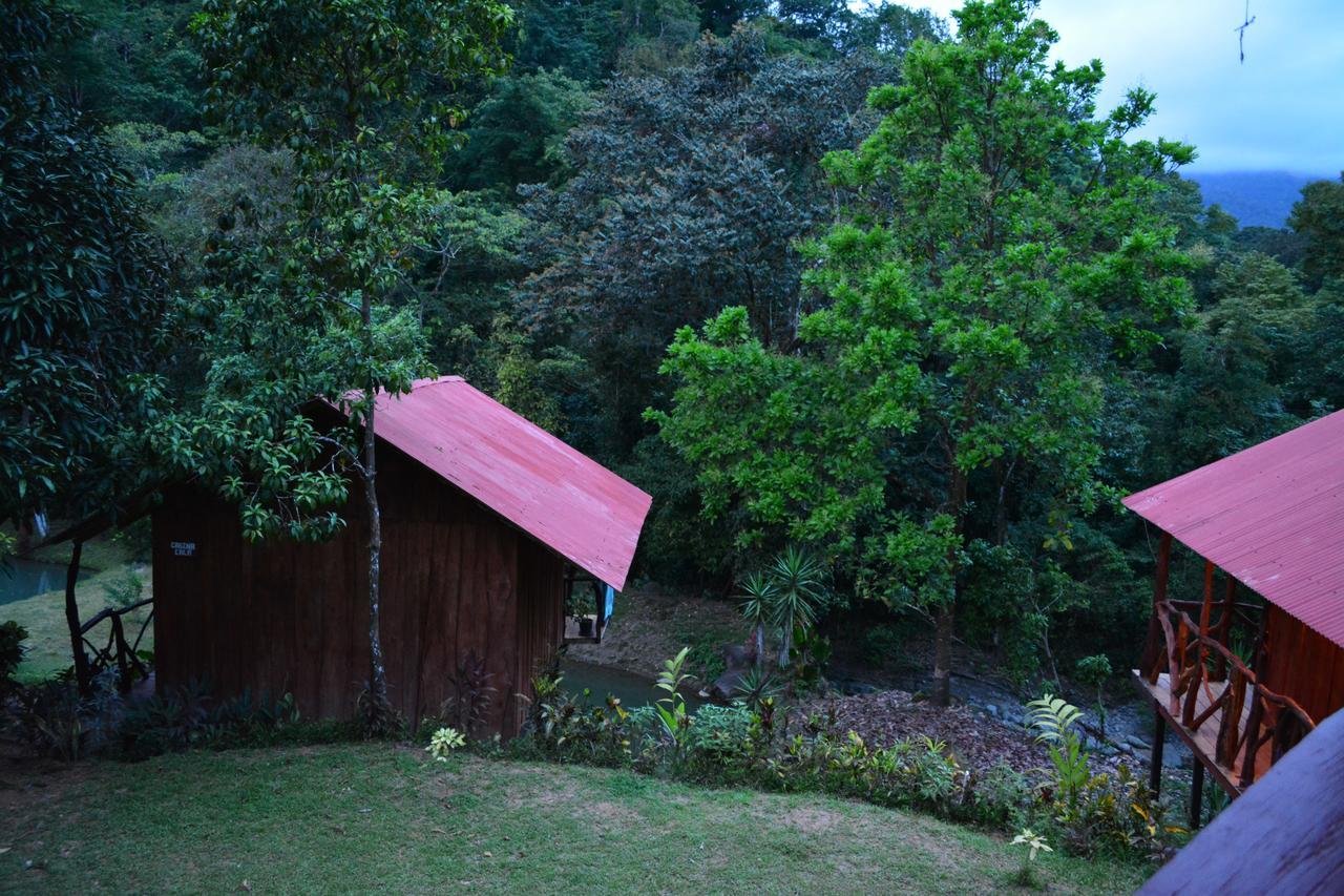 Cabinas Y Restaurante Tilapias La Cascada Hotel Ojochal Esterno foto