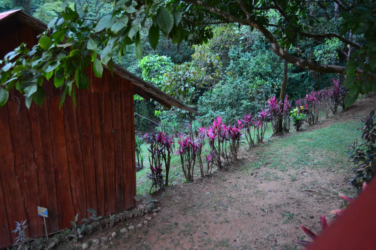 Cabinas Y Restaurante Tilapias La Cascada Hotel Ojochal Esterno foto