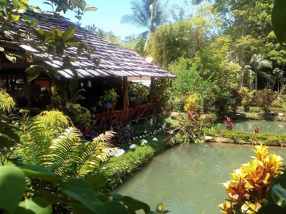 Cabinas Y Restaurante Tilapias La Cascada Hotel Ojochal Esterno foto